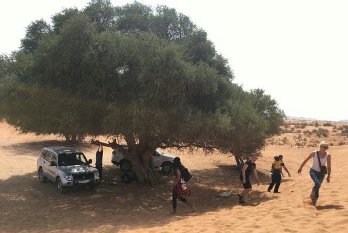 Agadir Top Road 4x4 Jeep safari Desert Adventures including lunch