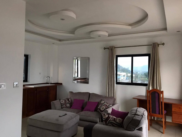 FURNISHED ONE BEDROOM APARTMENTS